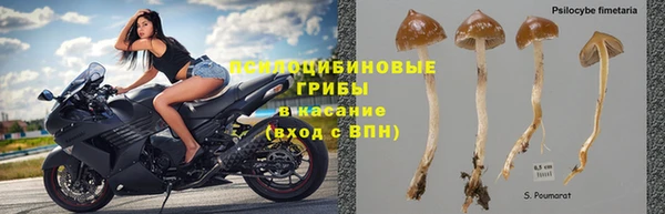 тгк Киренск